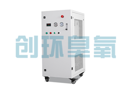 巴南石斑鱼养殖水质调控完整指南：臭氧发生器配置与操作步骤