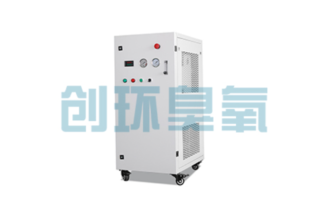 巴南比传统换水更高效？臭氧发生器在石斑鱼养殖中的水质净化原理解析